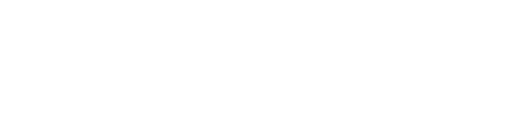 Desi9n Studio logo white